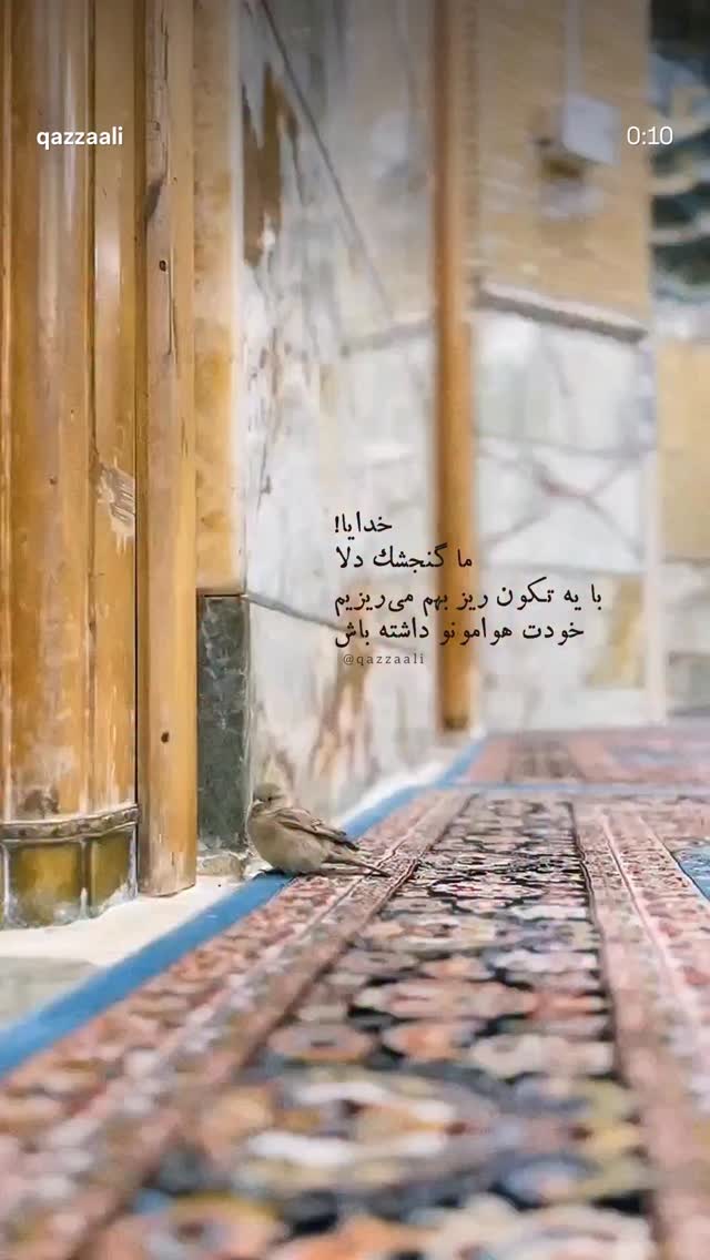  جدید ترین استوری اینستاگرام حسن روح الامین