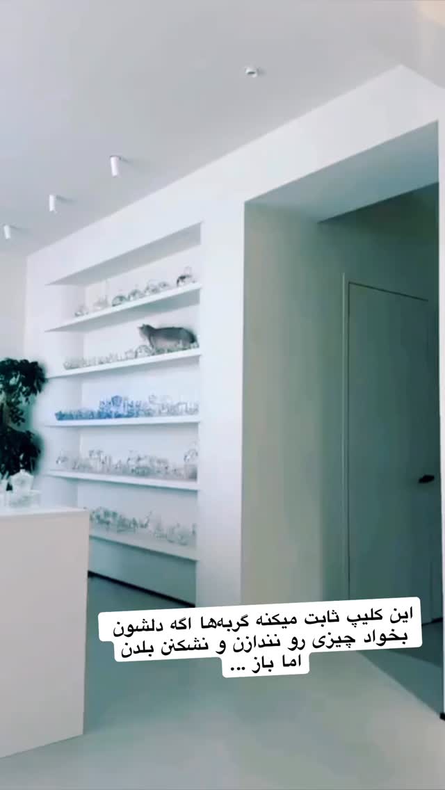  جدید ترین استوری اینستاگرام حسن ریوندی
