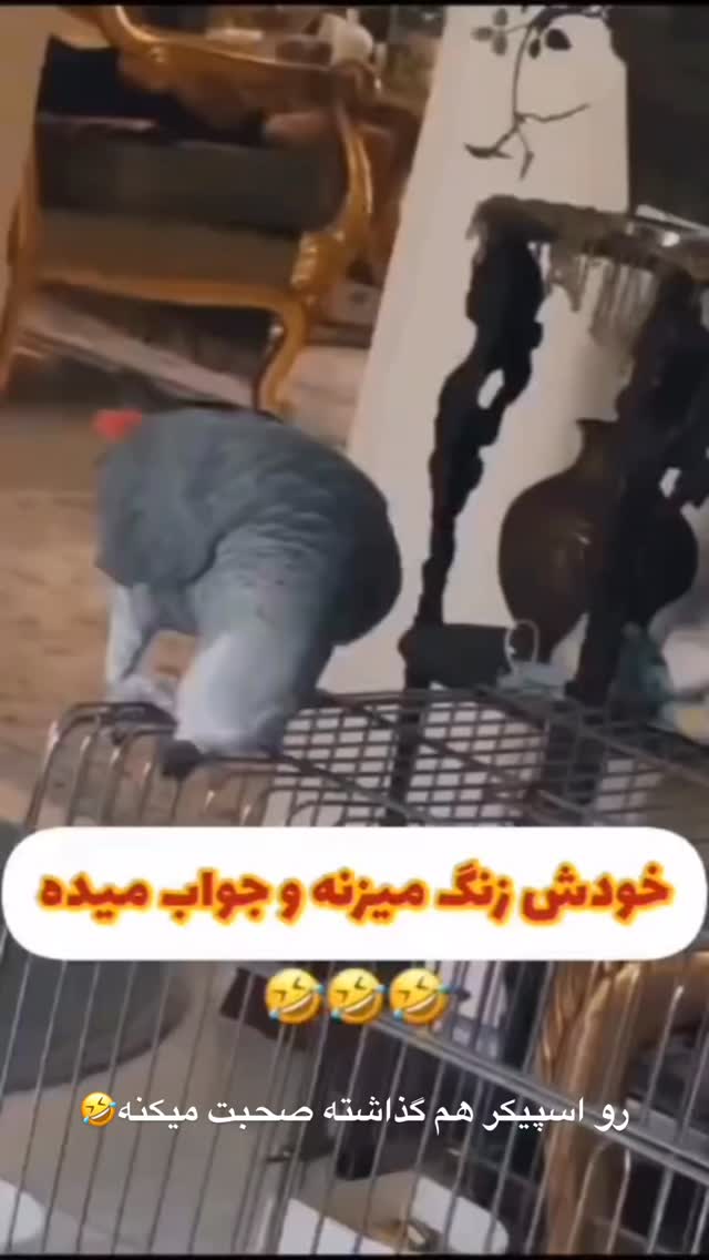  جدید ترین استوری اینستاگرام حسن ریوندی