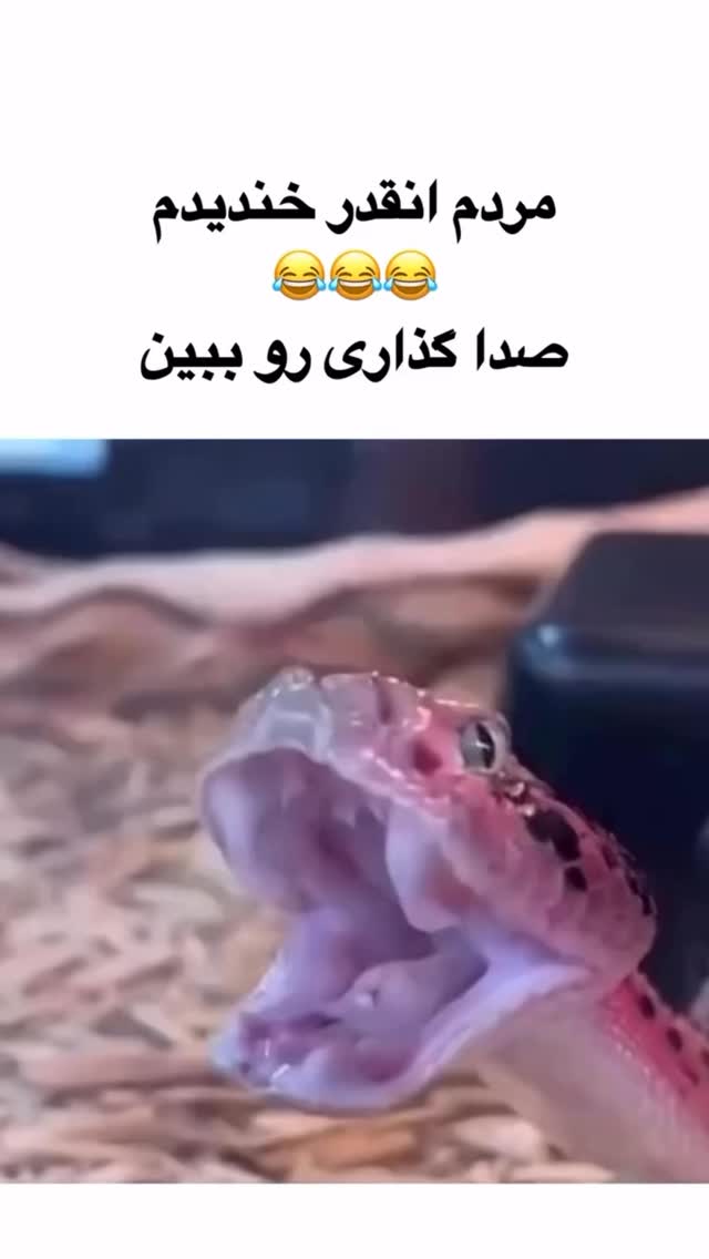  جدید ترین استوری اینستاگرام حسن ریوندی