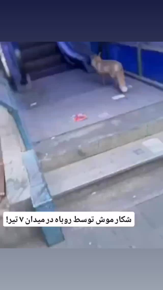  جدید ترین استوری اینستاگرام حسن ریوندی