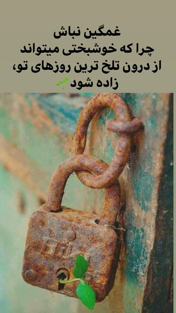  جدید ترین استوری اینستاگرام حسن ریوندی