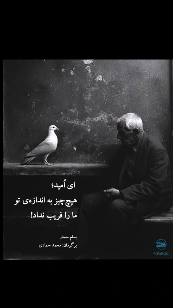  جدید ترین استوری اینستاگرام حسن شکوهی