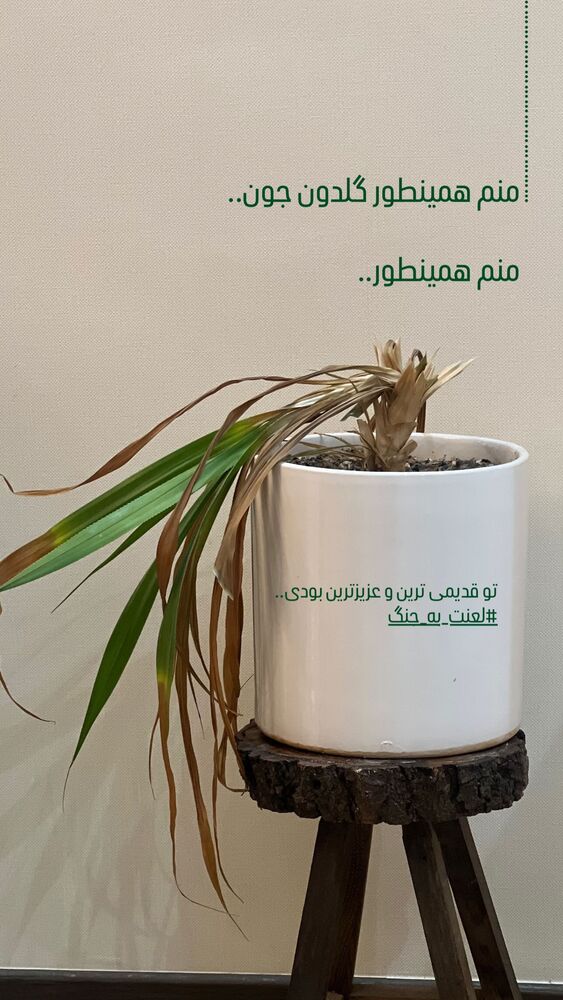  جدید ترین استوری اینستاگرام هدیه بازوند
