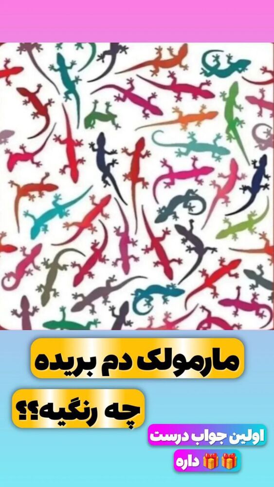  جدید ترین استوری اینستاگرام هلیا