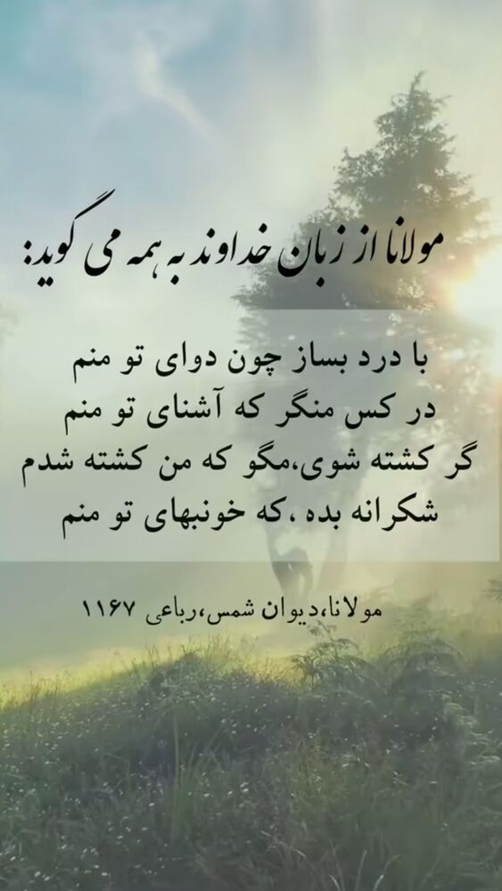  جدید ترین استوری اینستاگرام هلیا امامی