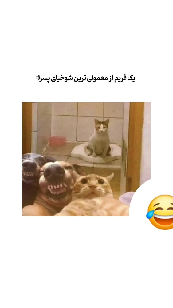  جدید ترین استوری اینستاگرام امیران