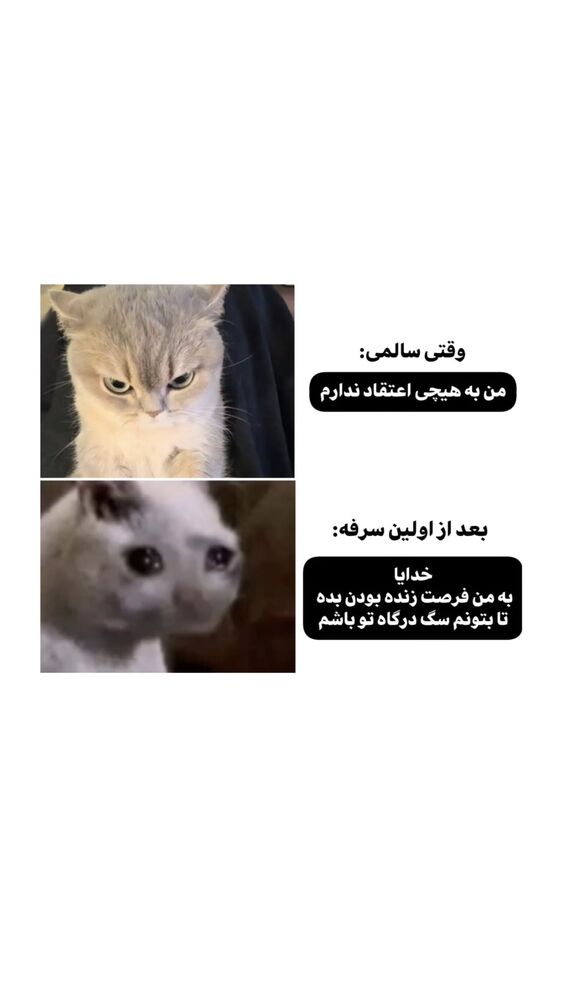  جدید ترین استوری اینستاگرام امیران