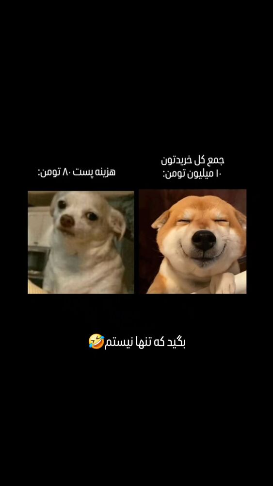  جدید ترین استوری اینستاگرام امیران