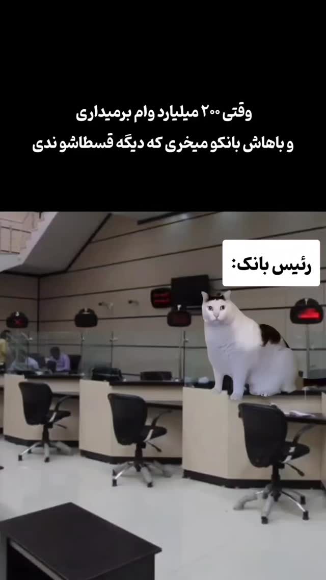  جدید ترین استوری اینستاگرام امیران