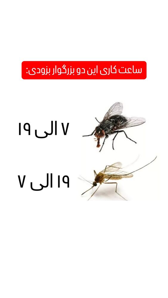  جدید ترین استوری اینستاگرام هومن ایران منش