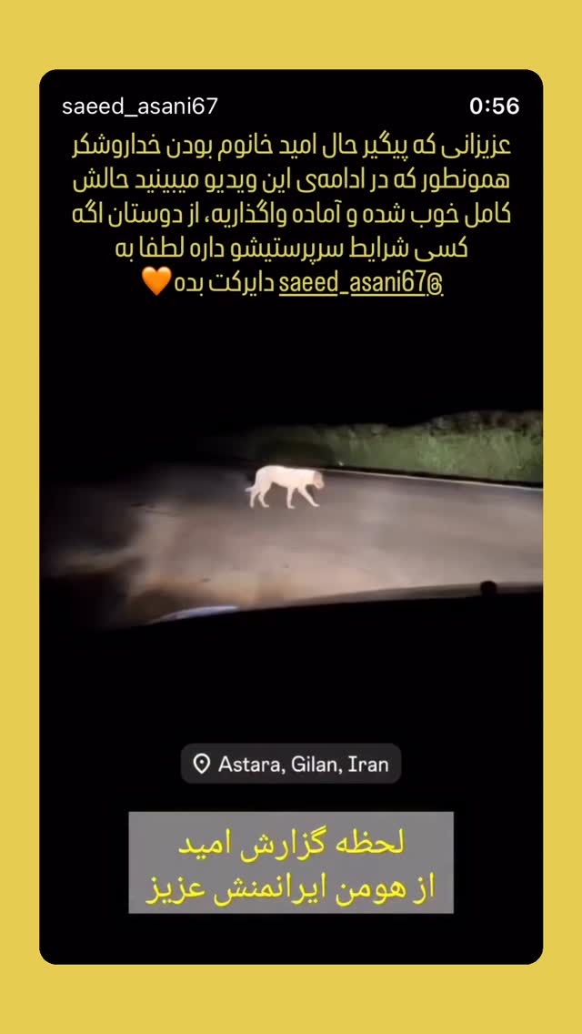  جدید ترین استوری اینستاگرام هومن ایران منش