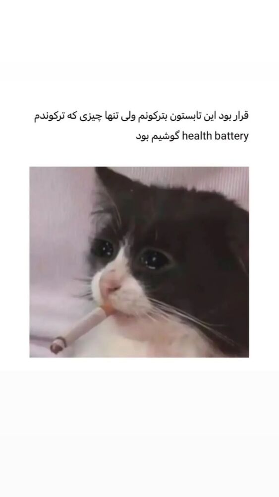  جدید ترین استوری اینستاگرام هومن ایران منش