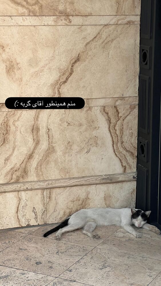  جدید ترین استوری اینستاگرام هدی محمدی