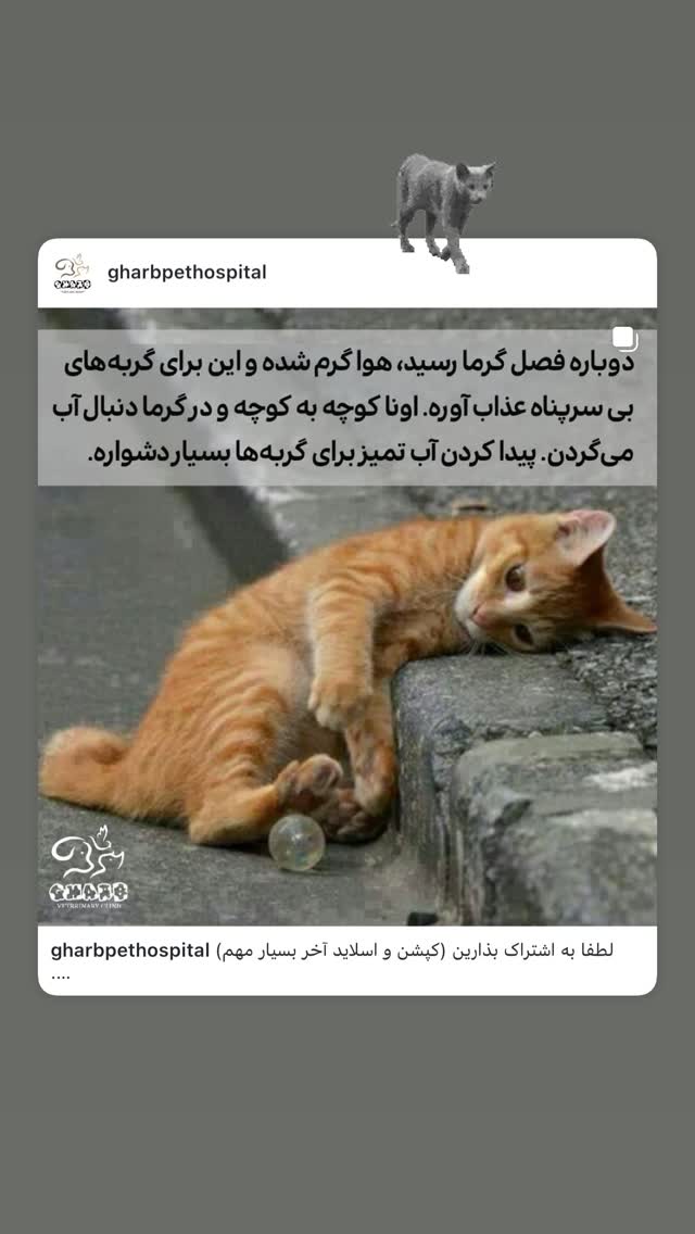  جدید ترین استوری اینستاگرام هدی استواری