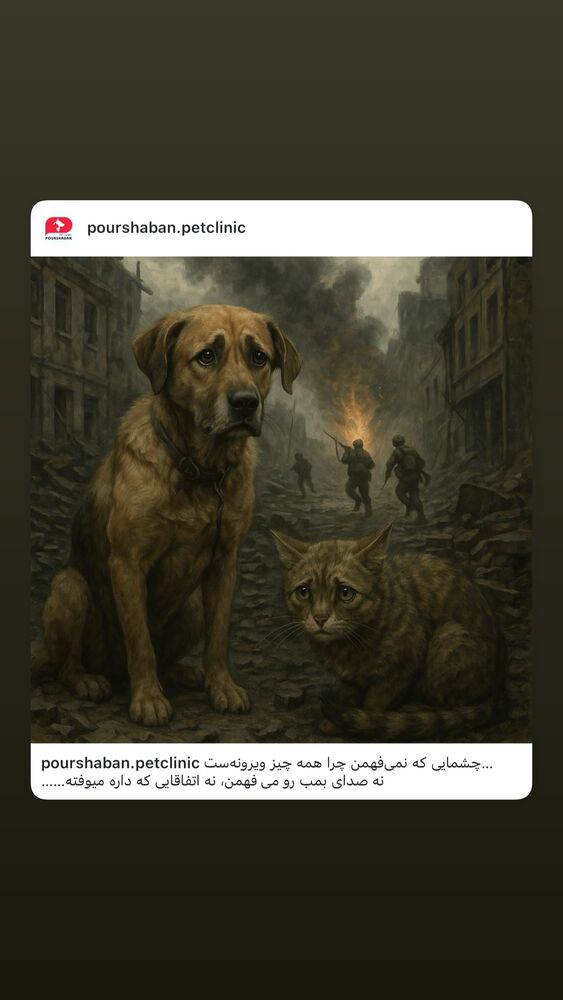  جدید ترین استوری اینستاگرام هدی استواری