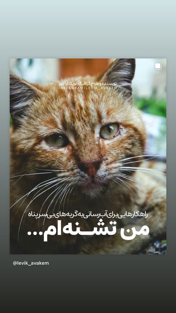  جدید ترین استوری اینستاگرام هدی استواری