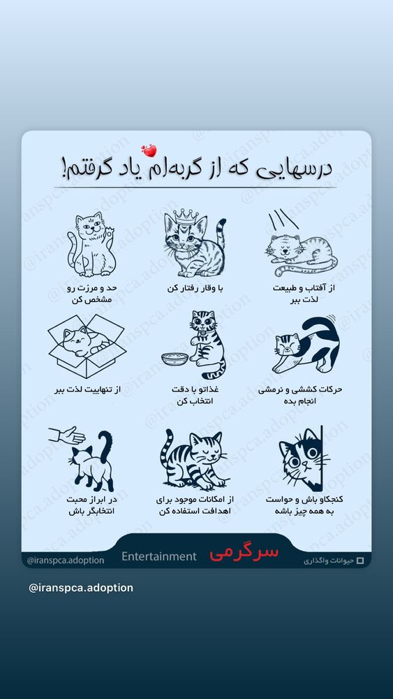 جدید ترین استوری اینستاگرام هدی استواری