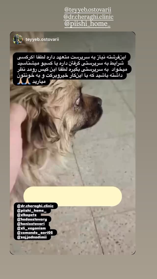  جدید ترین استوری اینستاگرام هدی استواری