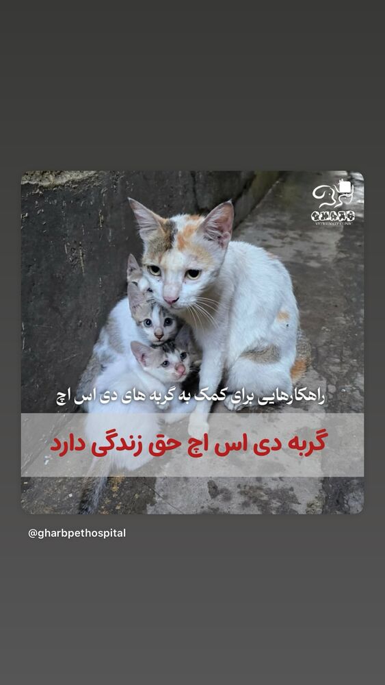  جدید ترین استوری اینستاگرام هدی استواری