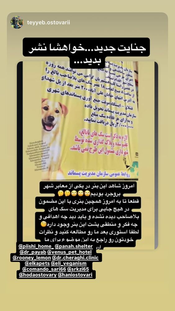  جدید ترین استوری اینستاگرام هدی استواری