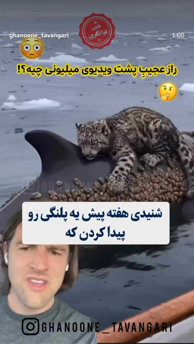  جدید ترین استوری اینستاگرام هدی استواری