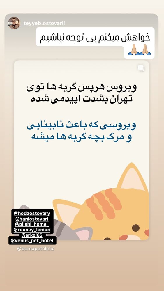  جدید ترین استوری اینستاگرام هدی استواری