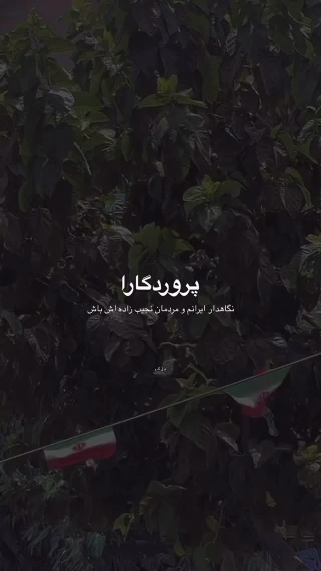  جدید ترین استوری اینستاگرام هانیه پیروزرام