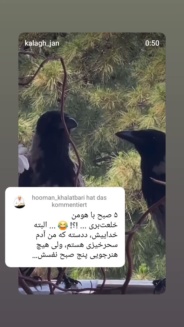  جدید ترین استوری اینستاگرام هومن خلعتبری