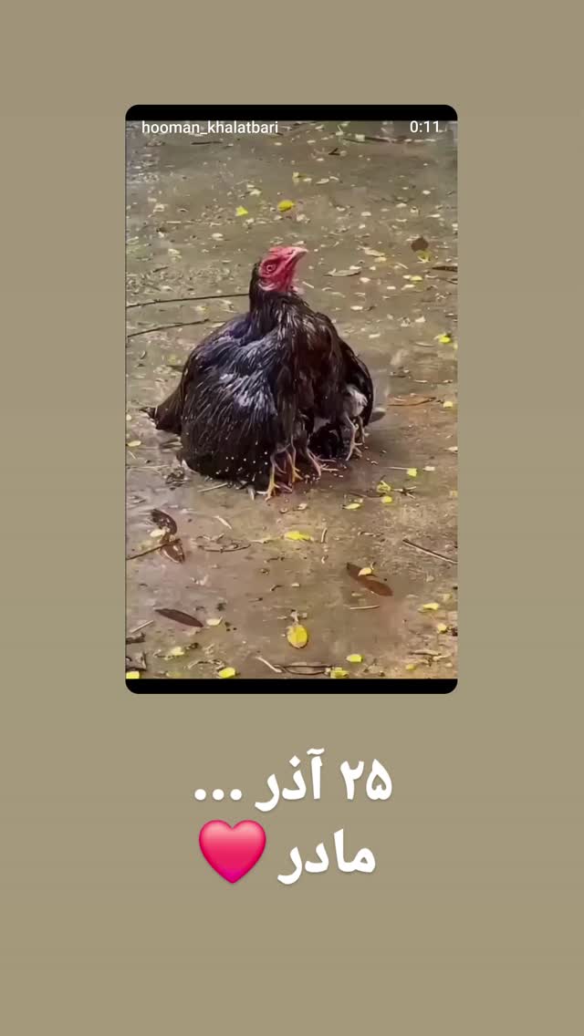  جدید ترین استوری اینستاگرام هومن خلعتبری
