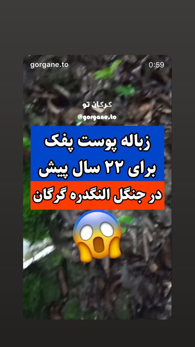 جدید ترین استوری اینستاگرام هومن بهمنش