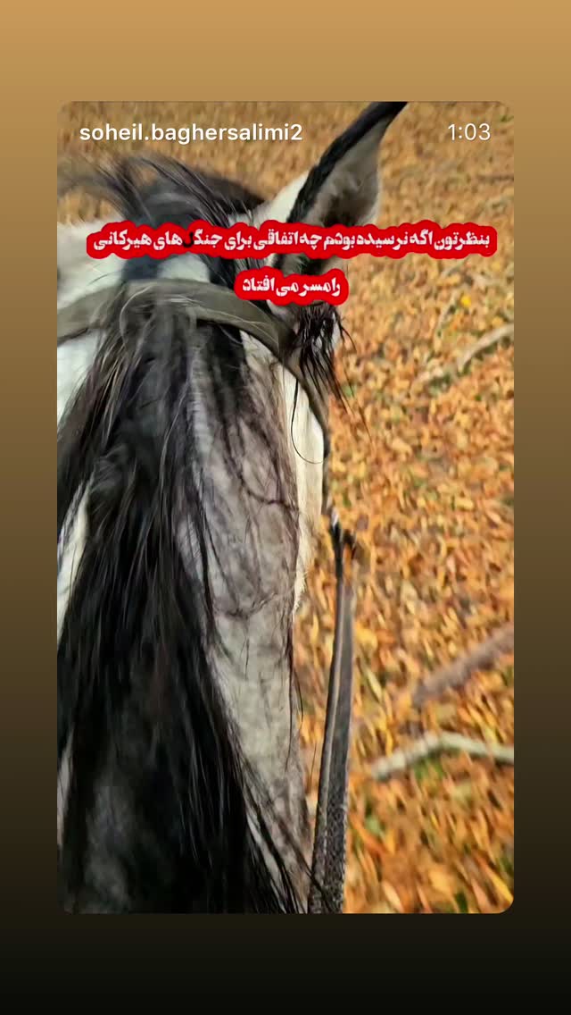  جدید ترین استوری اینستاگرام هومن بهمنش