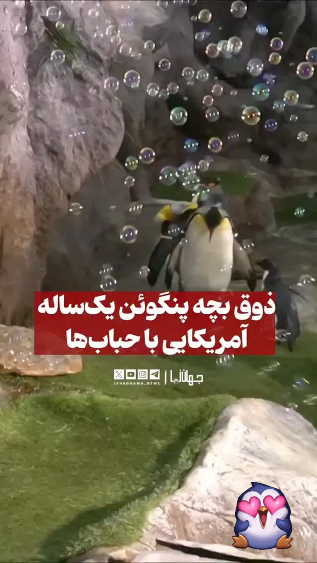  جدید ترین استوری اینستاگرام هومن خیاط