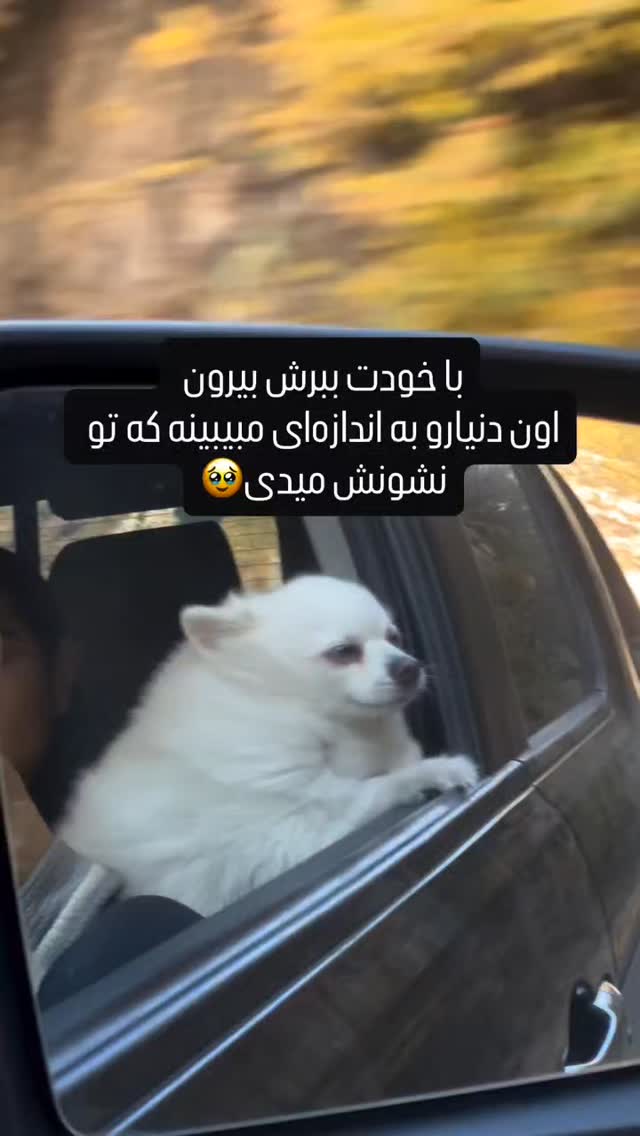  جدید ترین استوری اینستاگرام هوشینه