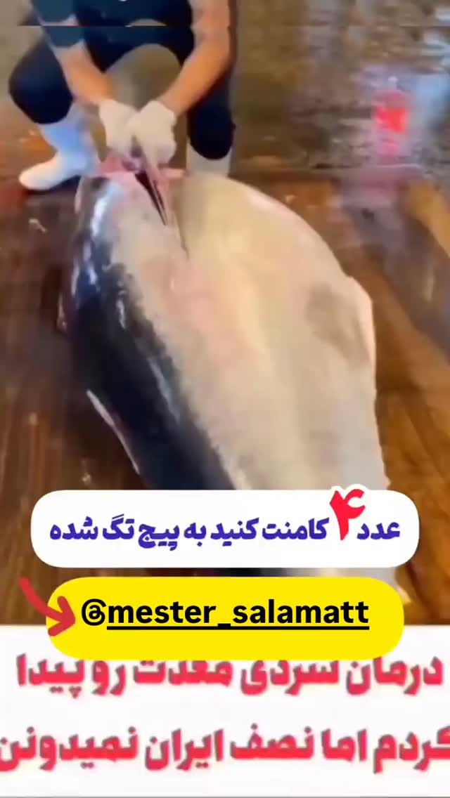  جدید ترین استوری اینستاگرام هوشینه