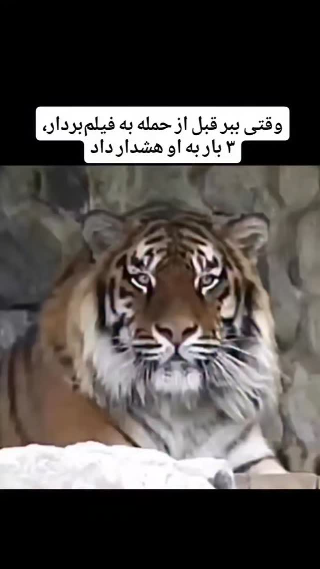 جدید ترین استوری اینستاگرام هوشینه