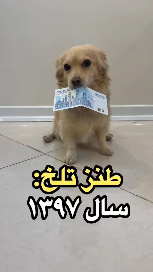 جدید ترین استوری اینستاگرام هوشینه
