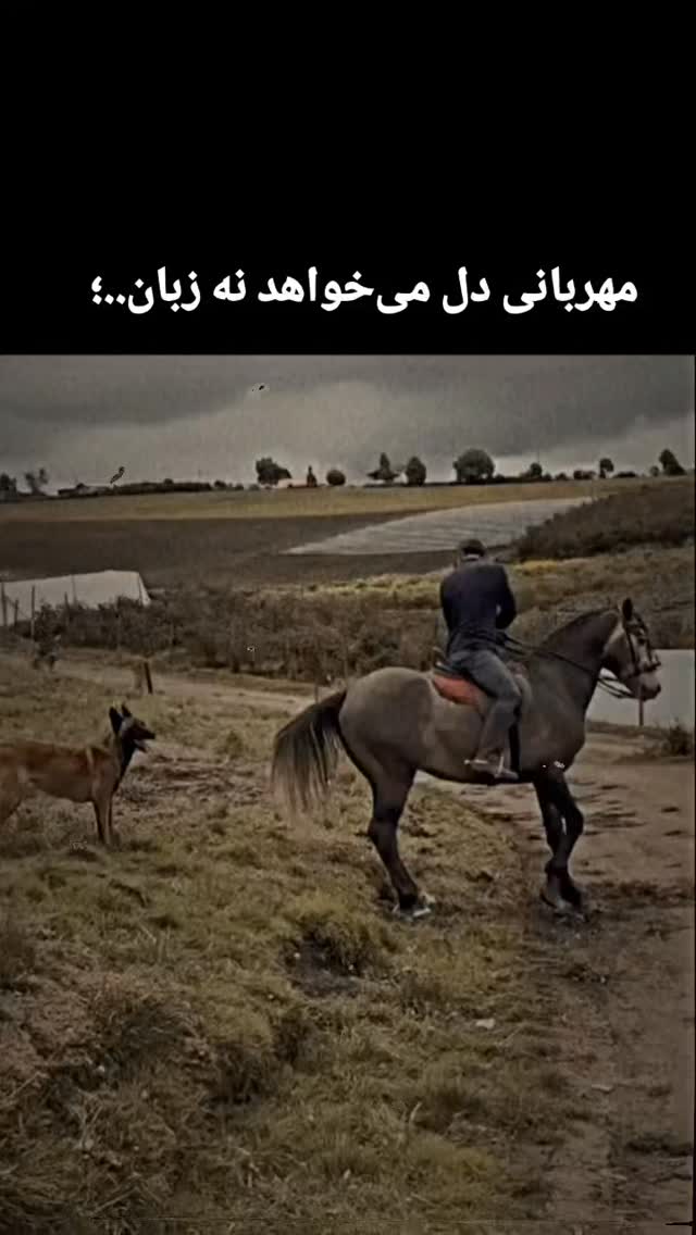  جدید ترین استوری اینستاگرام هوشینه