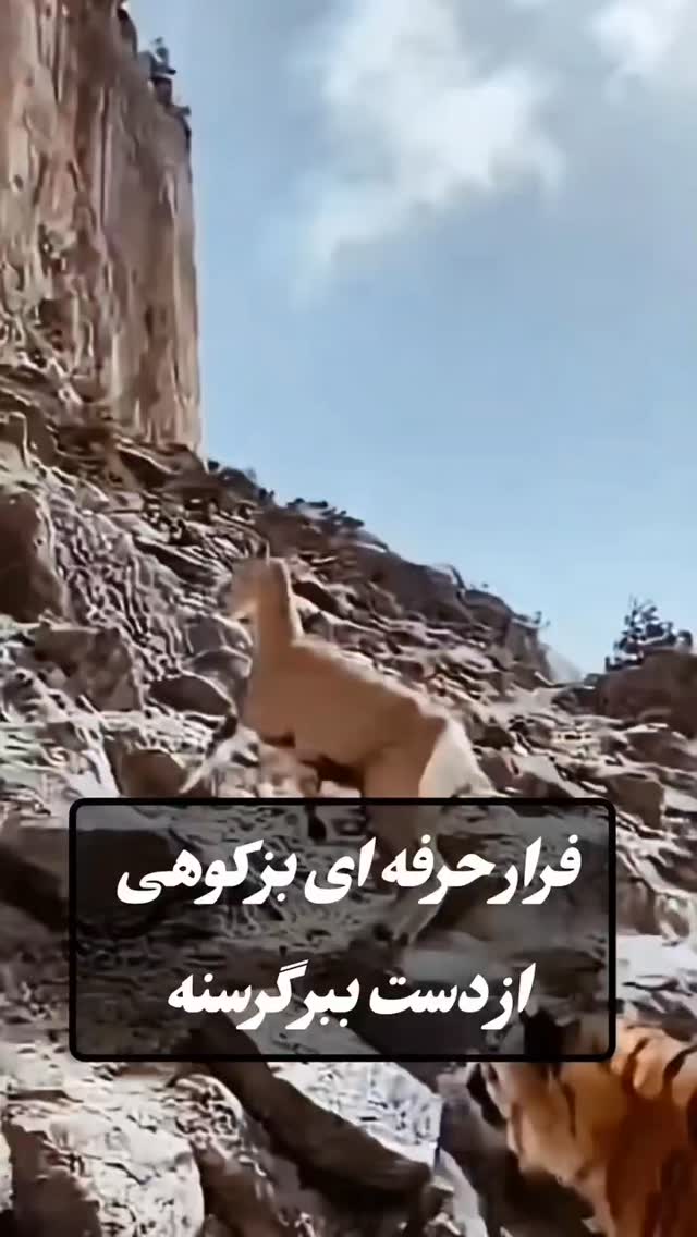  جدید ترین استوری اینستاگرام هوشینه