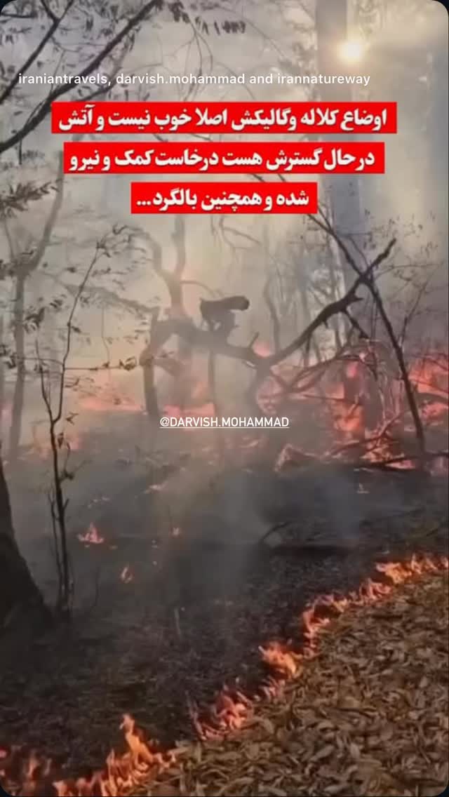  جدید ترین استوری اینستاگرام هوتن شکیبا