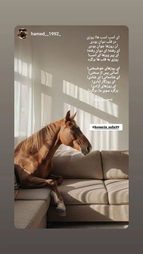  جدید ترین استوری اینستاگرام حسین صفا