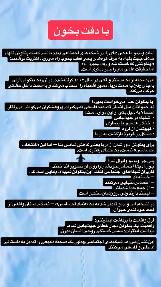  جدید ترین استوری اینستاگرام حسین قاسمی
