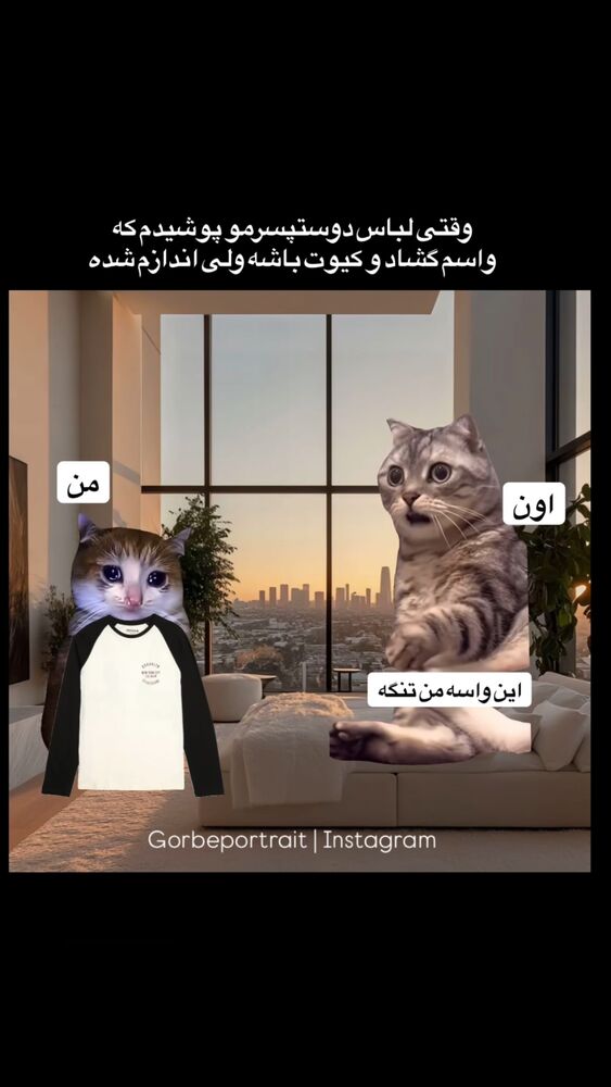  جدید ترین استوری اینستاگرام حانی هوشمند