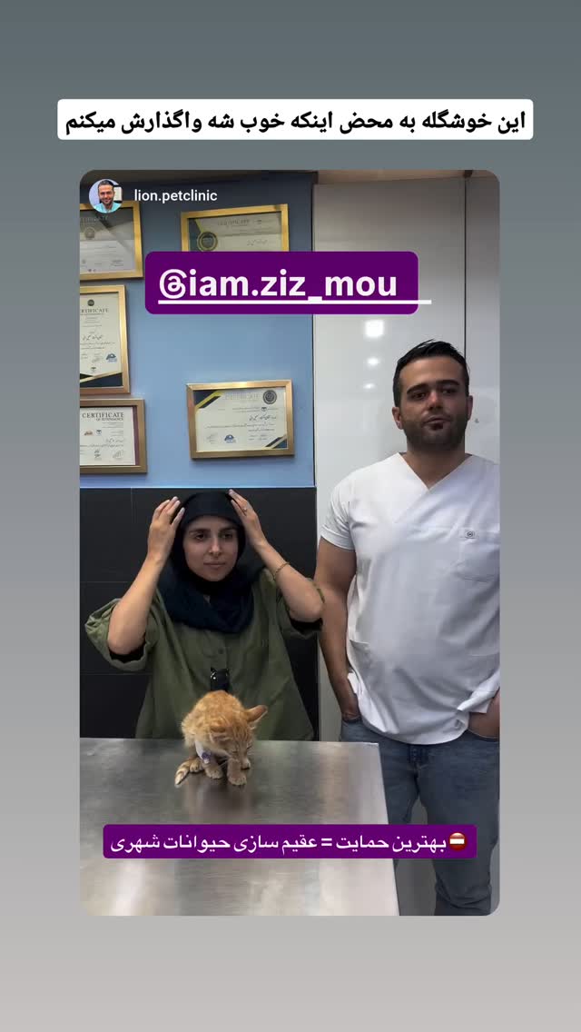  جدید ترین استوری اینستاگرام زینب موسوی