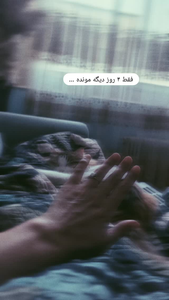  جدید ترین استوری اینستاگرام زینب موسوی