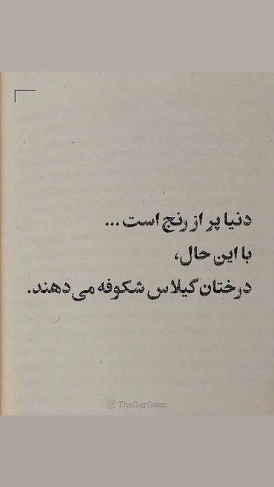  جدید ترین استوری اینستاگرام زینب موسوی