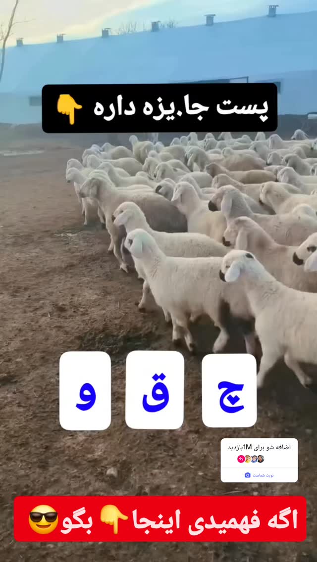  جدید ترین استوری اینستاگرام سمانه سادات
