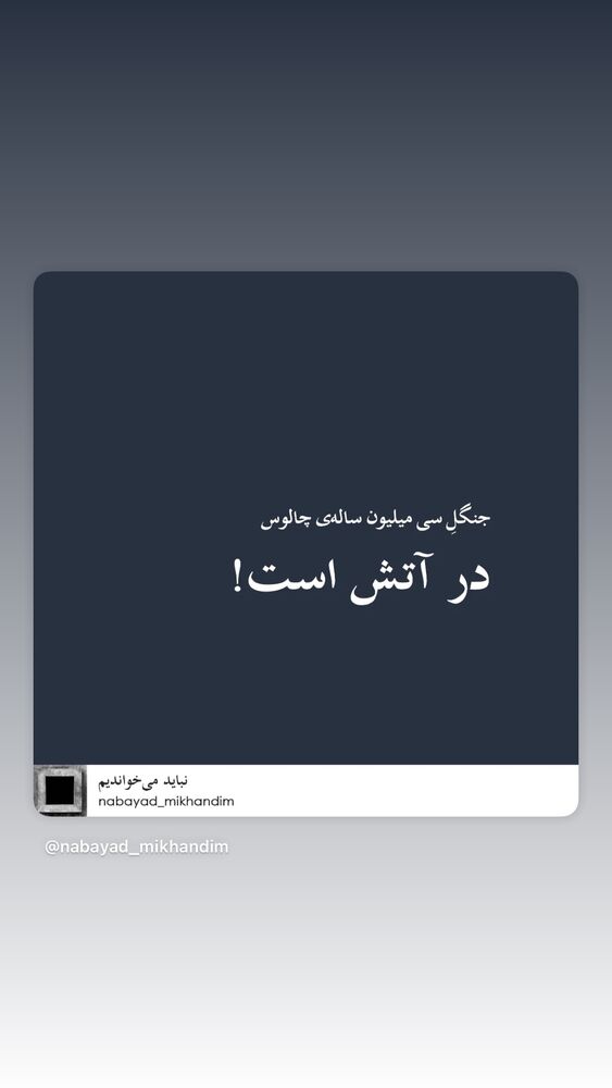  جدید ترین استوری اینستاگرام حامیم