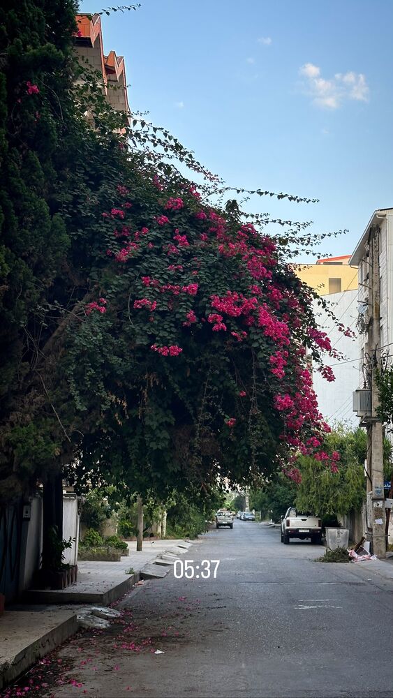  جدید ترین استوری اینستاگرام ایمان فرزین