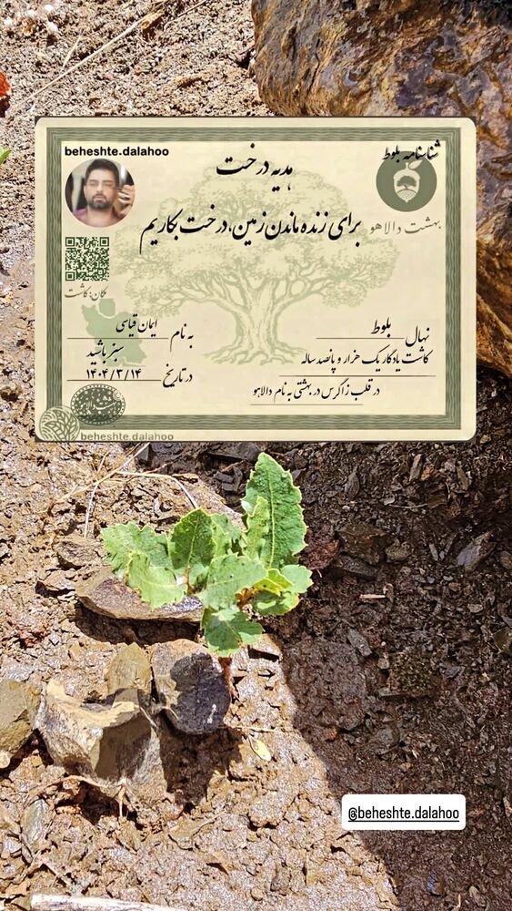  جدید ترین استوری اینستاگرام ايمان قياسى